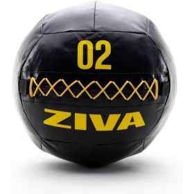 Ziva 2Kg Performance Wall Ball